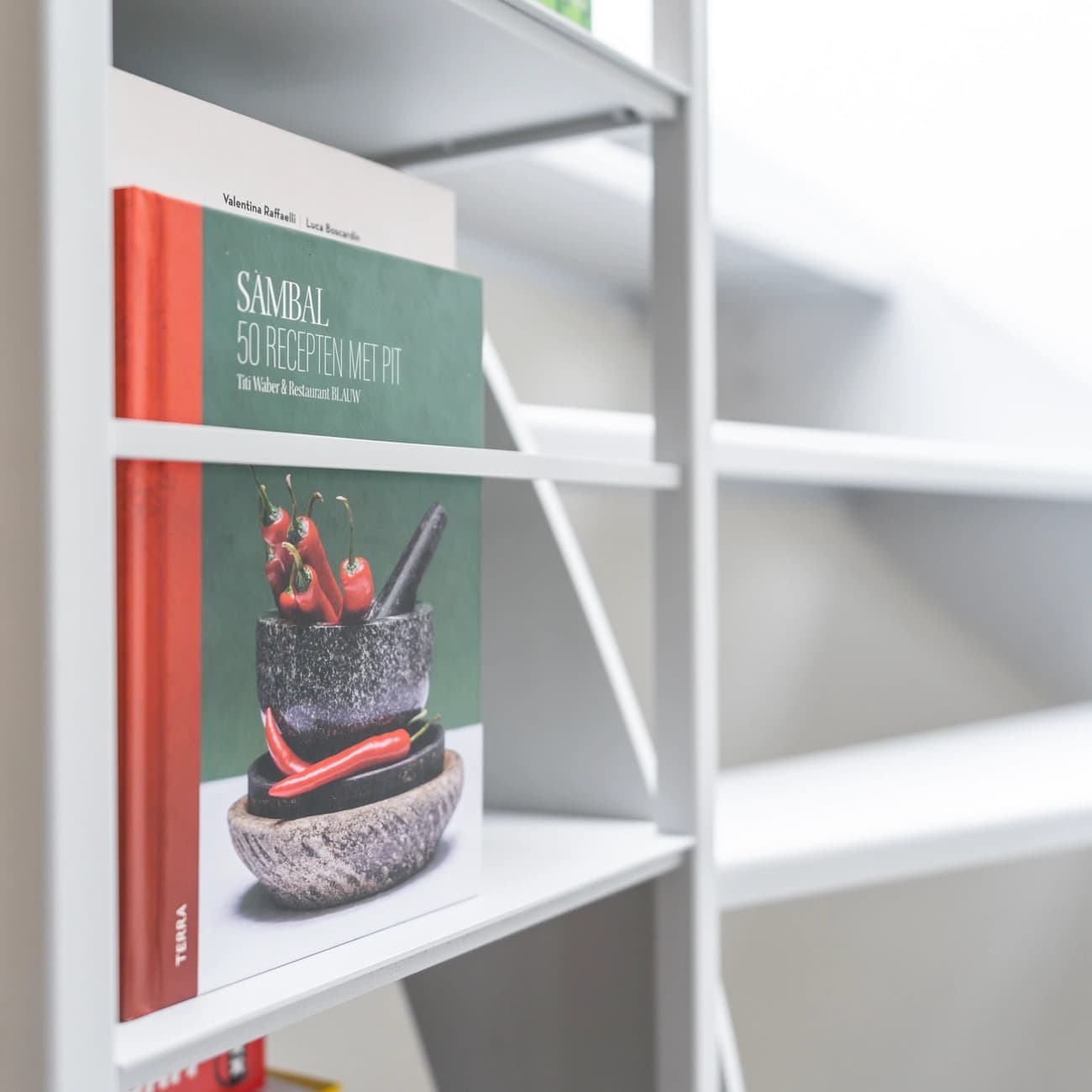 Witte inbouw boekenkast van staal